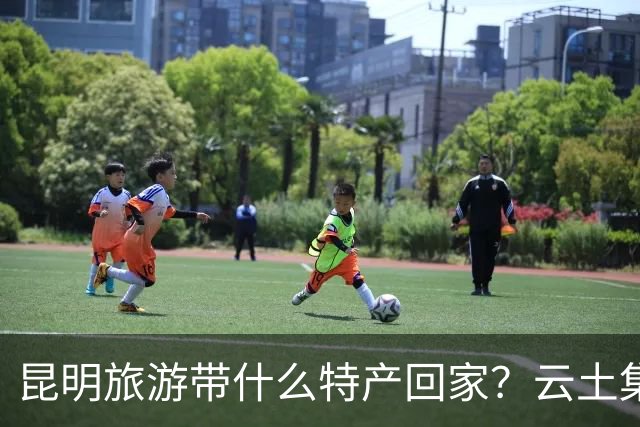 昆明旅游带什么特产回家？云土集云南伴手礼选购建议
