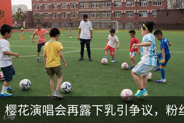 樱花演唱会再露"下乳"引争议，粉丝怒问造型团队